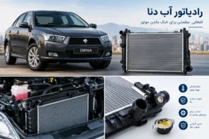 Dena Radiator Cooling System Showcase